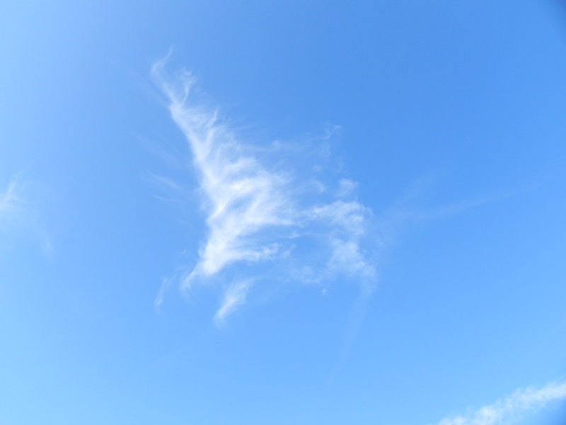 Eine lustige Wolke verziert den stahlblauen Himmel. 